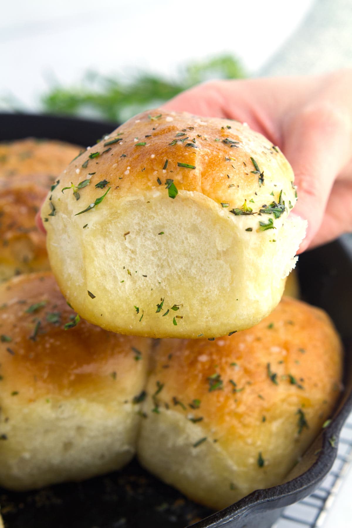 A hand holding one soft and fluffy dinner roll made from frozen dough.