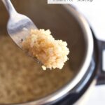 Fluffed quinoa on a fork with text overlay