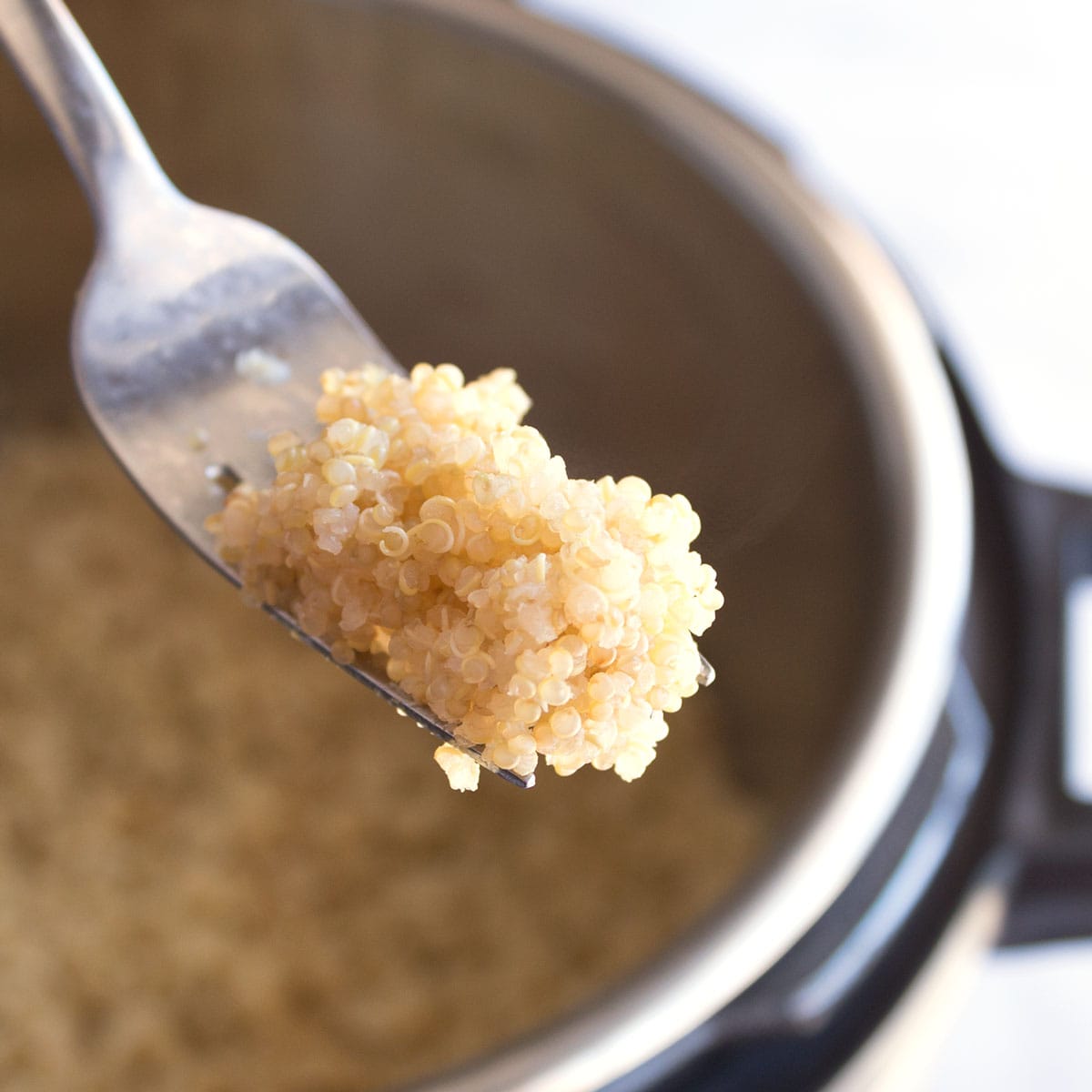 Square image of fluffed quinoa on fork.