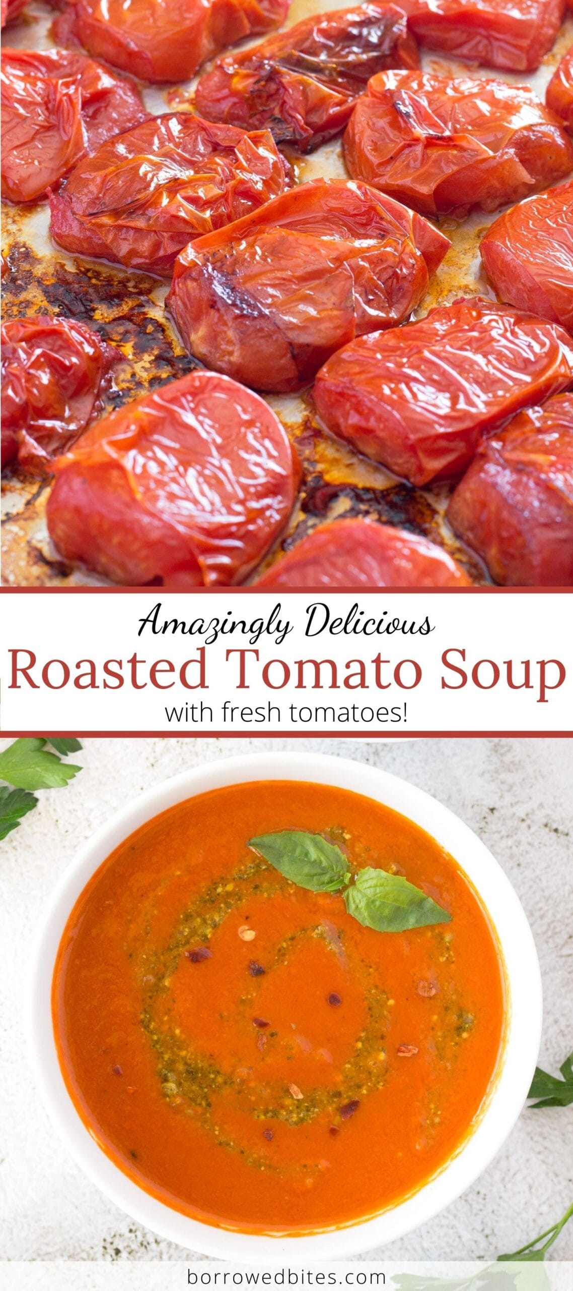 Roasted Tomato Soup Recipe - Borrowed Bites