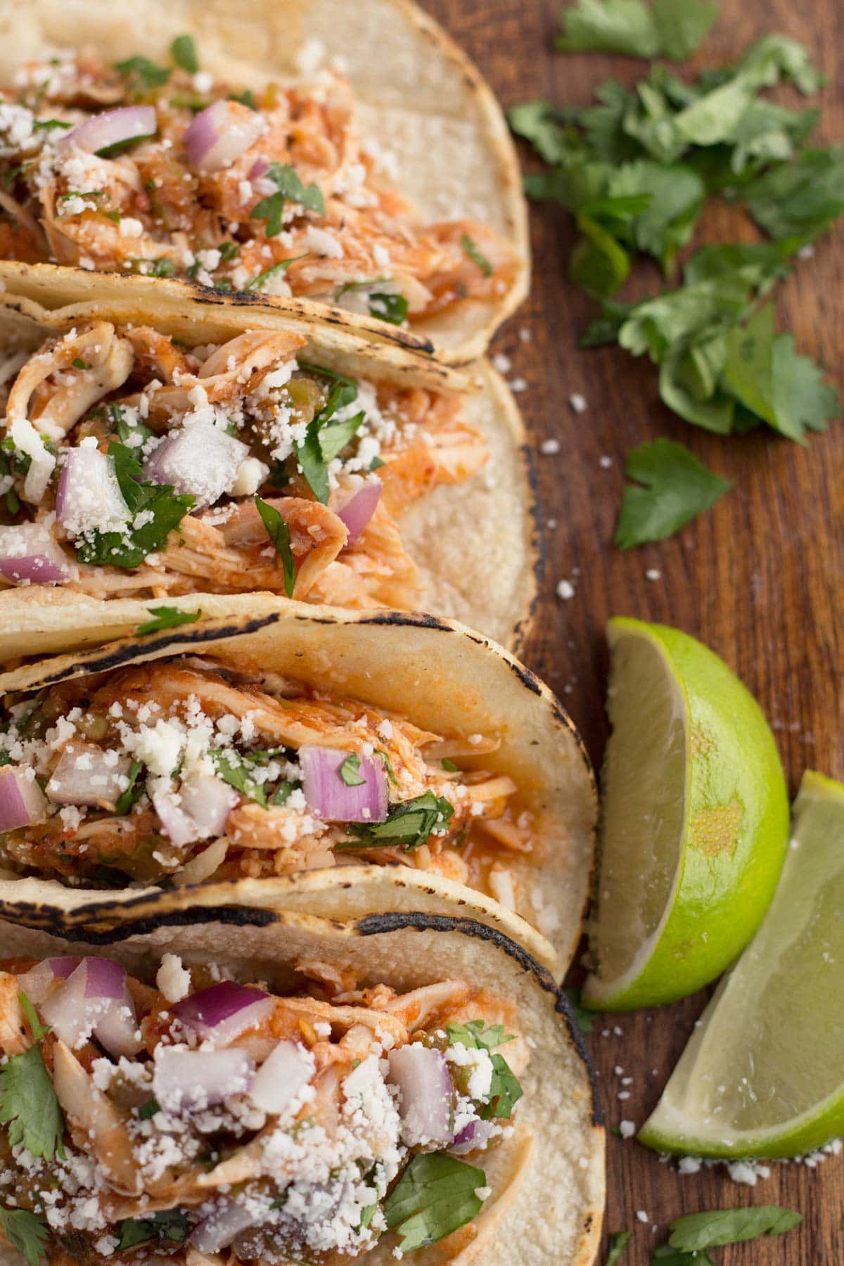 Tacos filled with chicken tinga and topped with crumbly Mexican cheese, cilantro, and Onion.