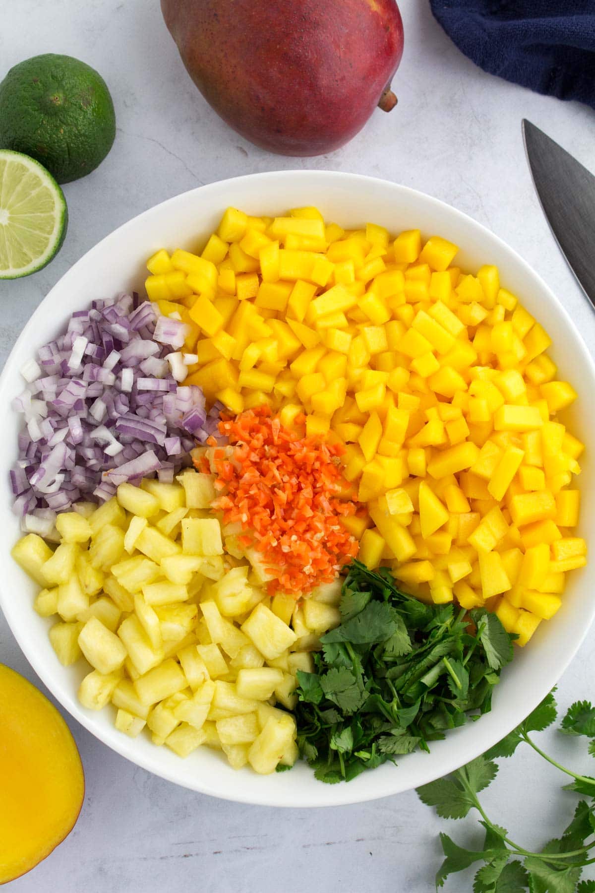 Mixing bowl with chopped mango, pineapple, habaneros, cilantro, and red onion before mixing together with lime juice.