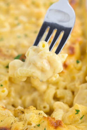 Make Ahead Mac And Cheese Baked Borrowed Bites 6561