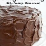 Cake on a white cake stand covered in swirled chocolate fudge frosting with text on the top of the photo.