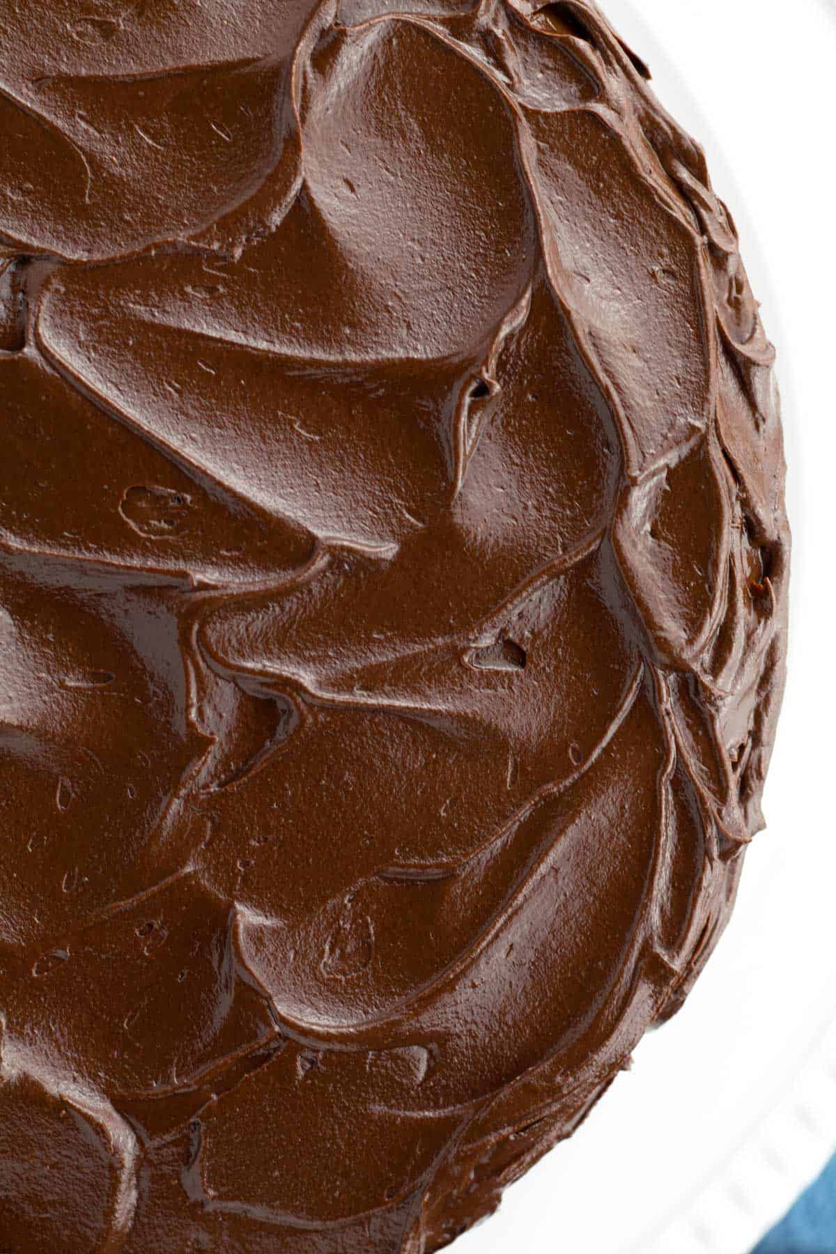 Close up view of chocolate frosting swirled on the top of a cake.