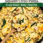 One pan orzo pasta with graphic overlay.