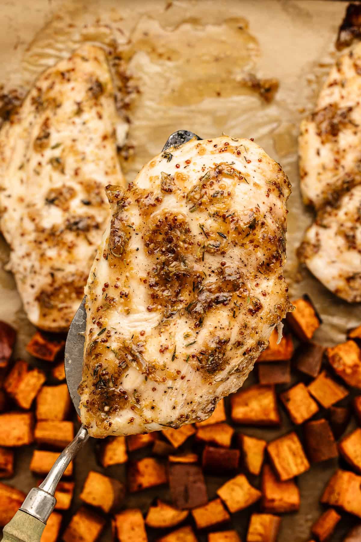 Piece of chicken brushed with maple mustard and thyme sauce from a sheet pan dinner.