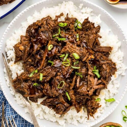 Square image of a white plate piled with white rice, Asian pot roast, and green onions with a fork resting on the left side of the plate.