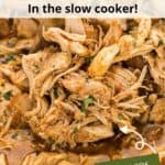 A pile of Mexican chicken on a wooden spoon over the rest of it with green overlaid text.