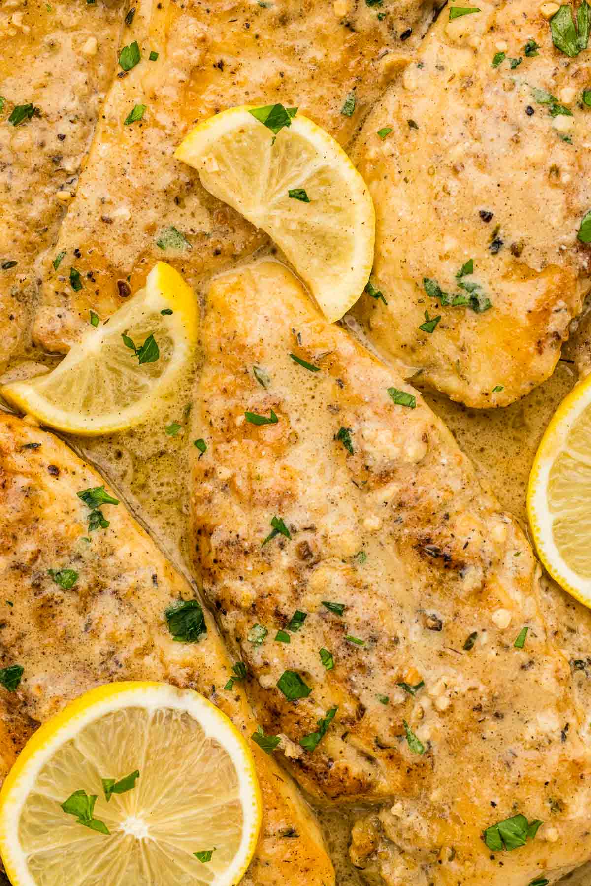 Closeup of creamy lemon chicken doused in sauce.