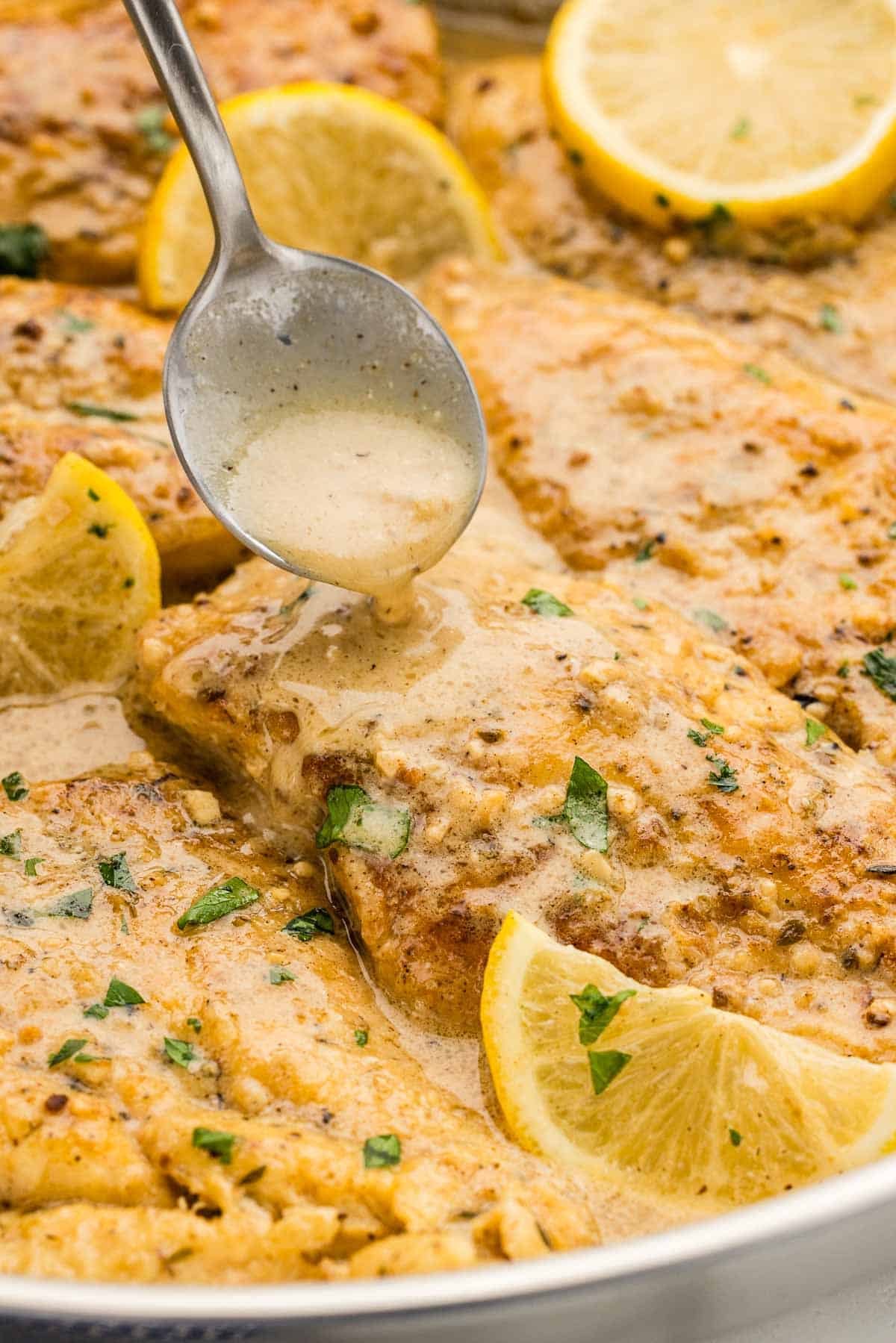 A spoonful of creamy sauce dripping down onto cooked chicken breasts in a skillet.