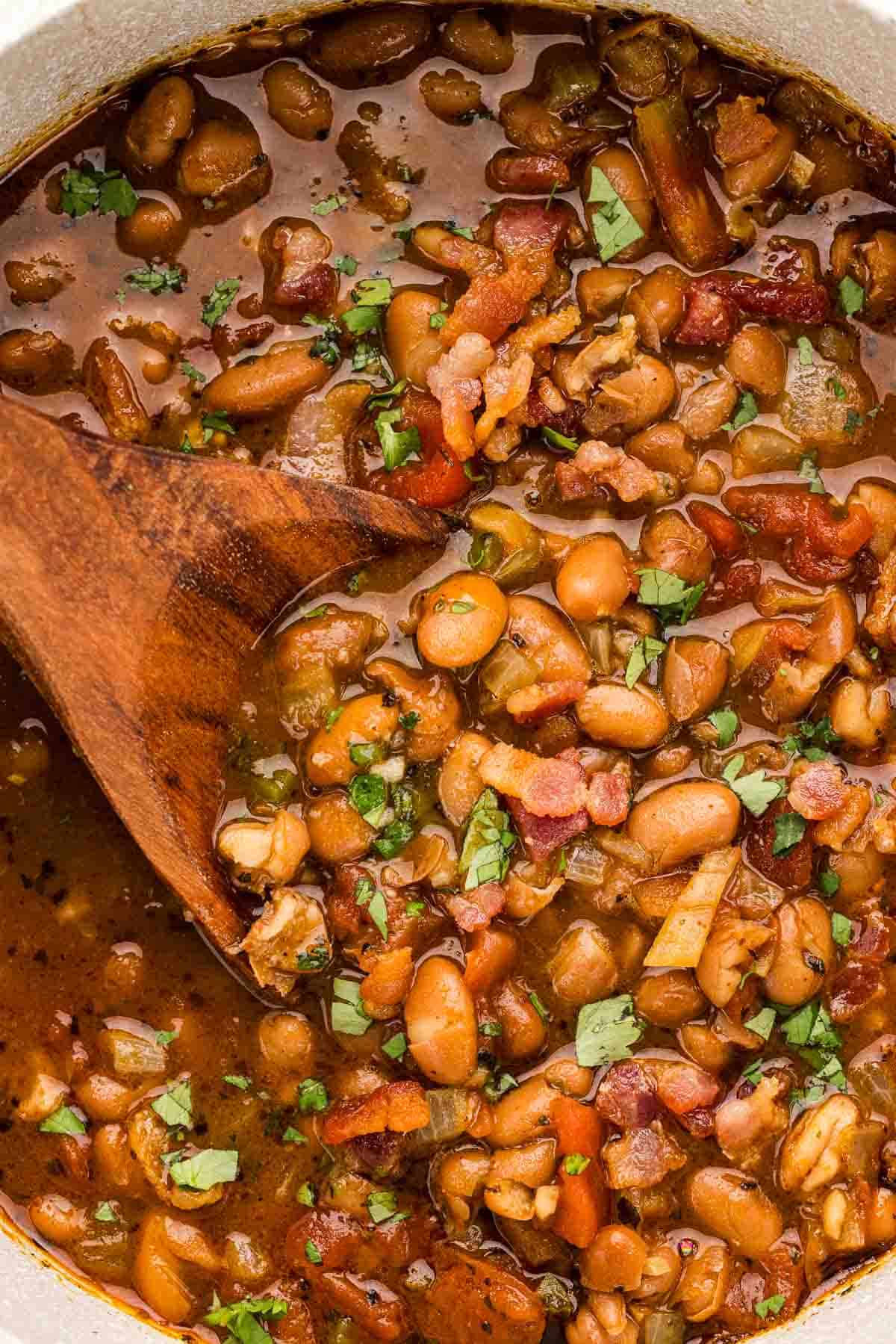 A cooking spoon dipped into a pot of drunken beans.
