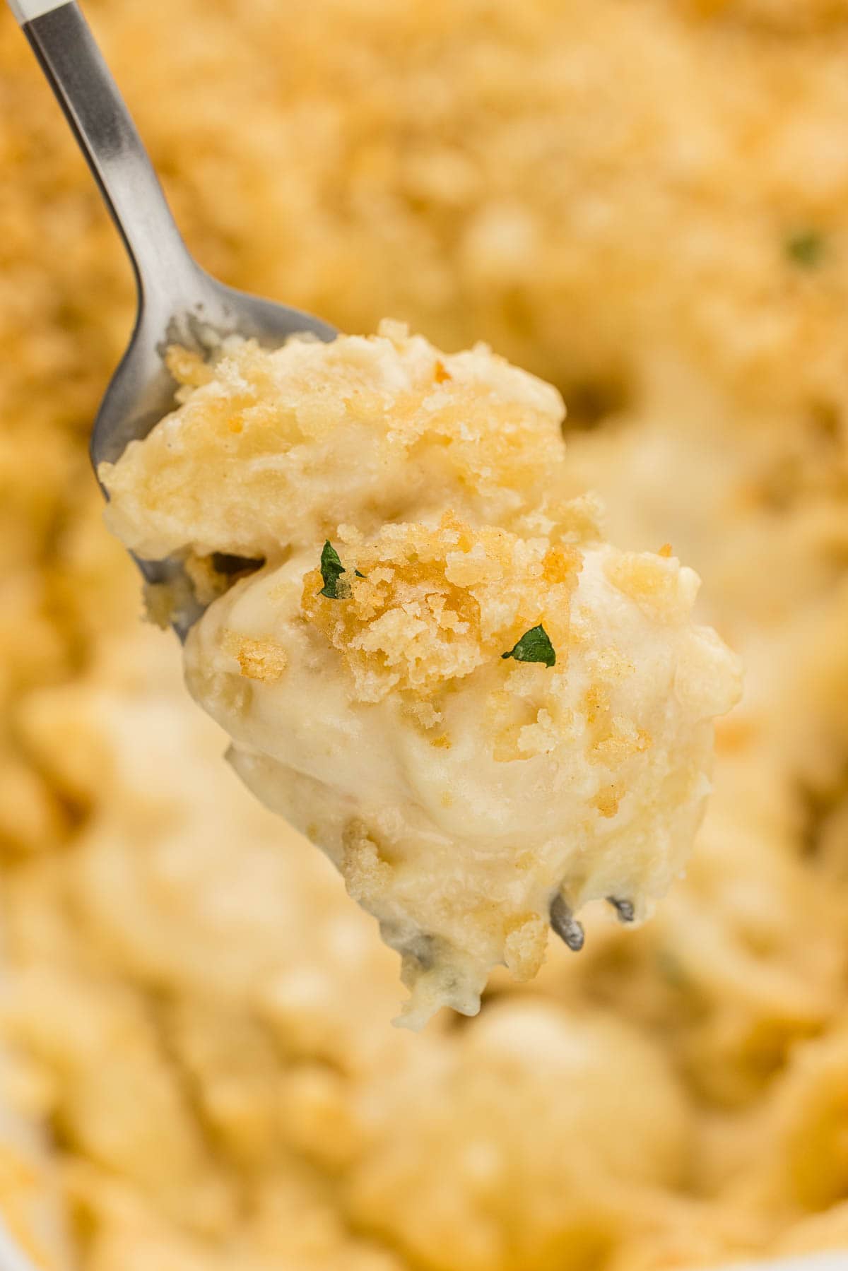 A fork holding a bite of four cheese macaroni.