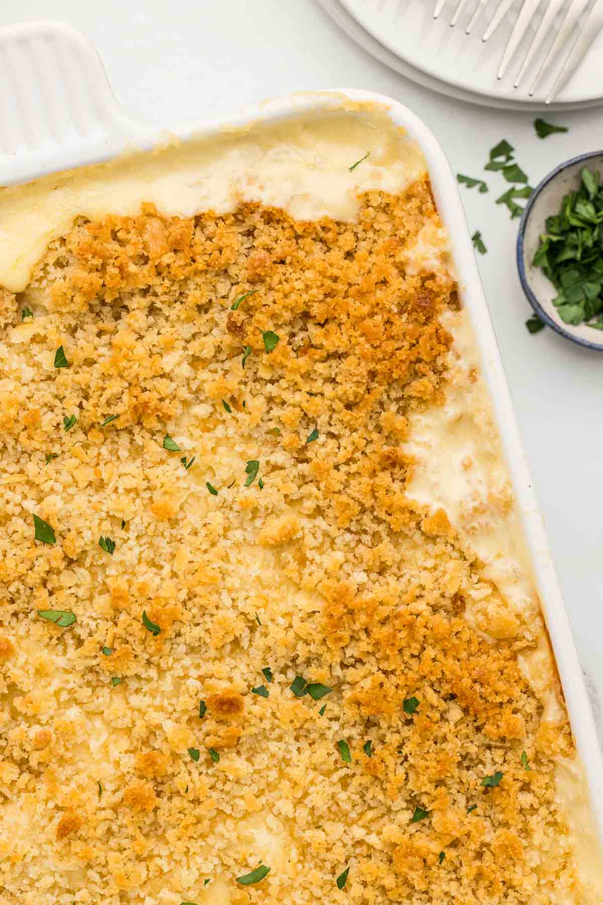 Closeup of a pan of four cheese macaroni with a breadcrumb topping.