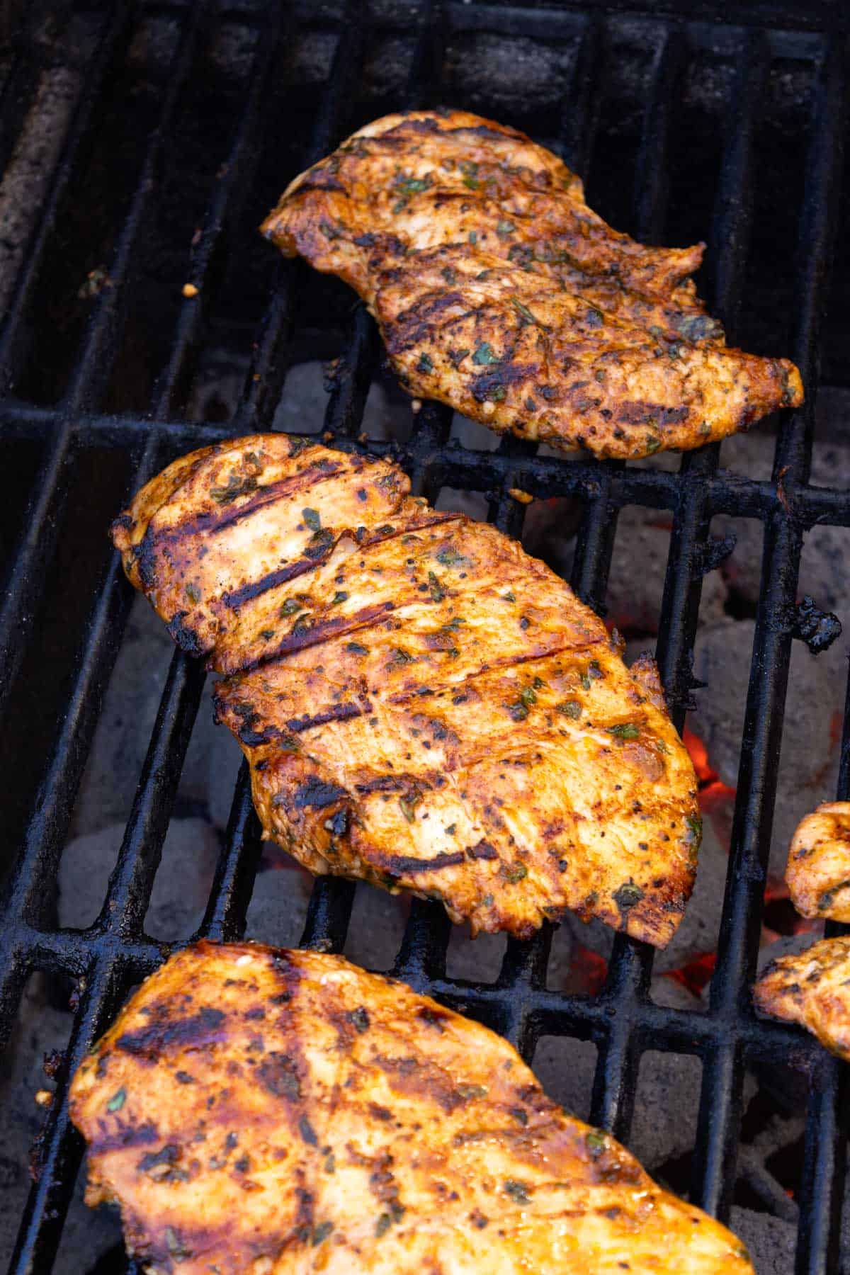 Chicken breasts cooked on the grill.