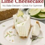 A plate with a slice of cheesecake on it and a graphic overlay.