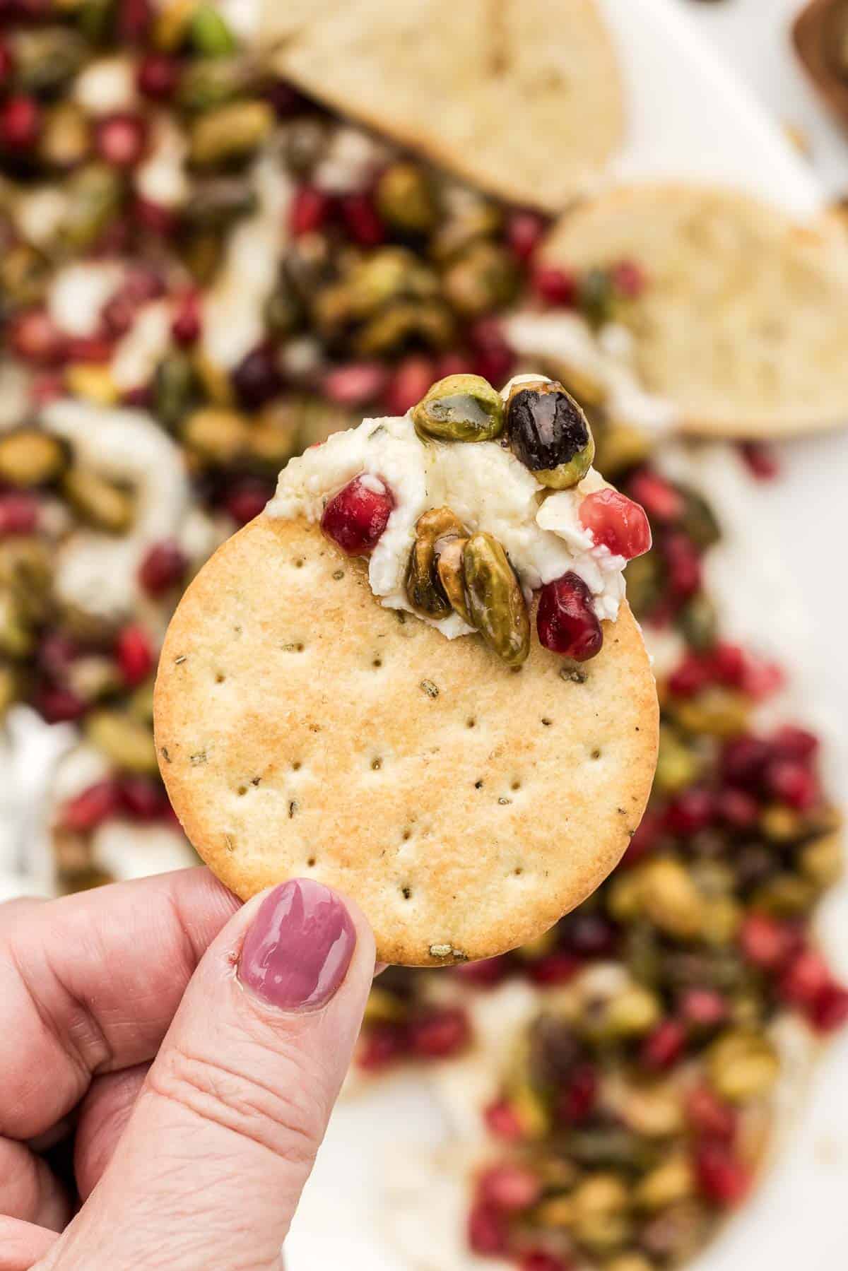 A cracker with a bit of boursin dip coated on the side.